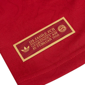 Bayern Munich 2025/26 Commemorative Fan Jersey